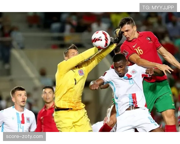 帕利尼亚为何能坐稳葡萄牙国家队主力后腰？